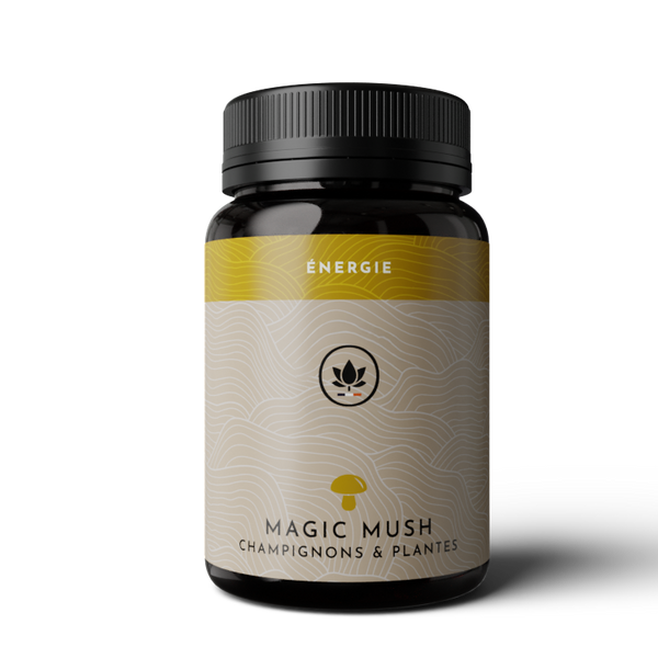magic mush énergie