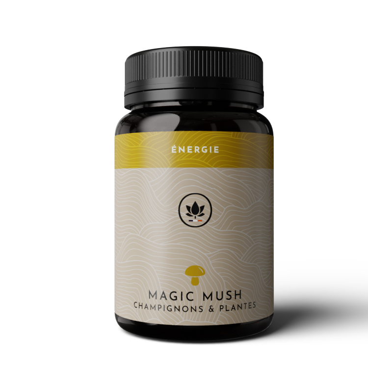 magic mush énergie