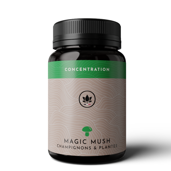 magic mush concentration