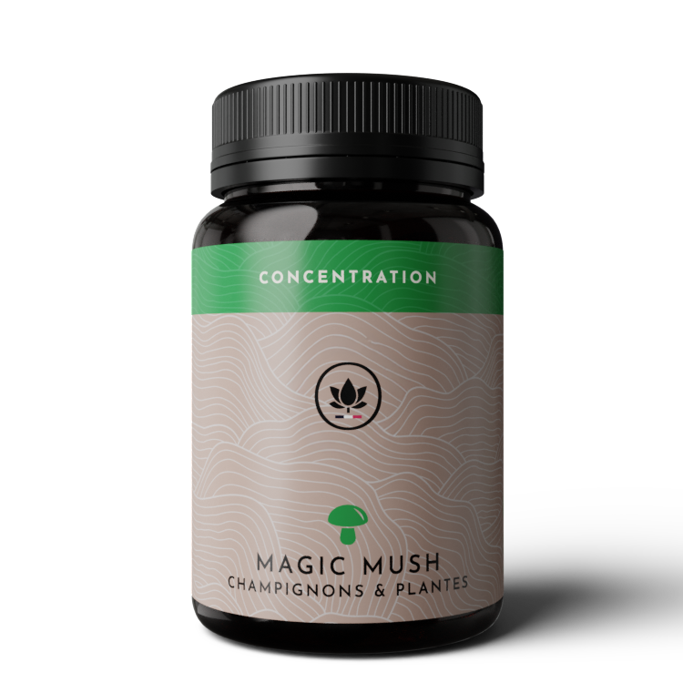 magic mush concentration
